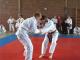 LL-S�d 2010 - 1KT-008
