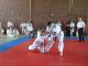 LL-S�d 2010 - 1KT-010
