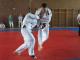 LL-S�d 2010 - 1KT-011