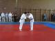 LL-S�d 2010 - 1KT-014