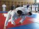LL-S�d 2010 - 1KT-016