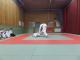 SAM_0270