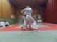 SAM_0272